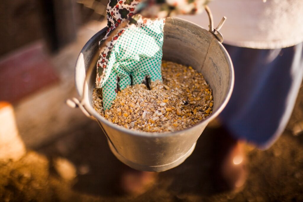 Cattle Feed Market